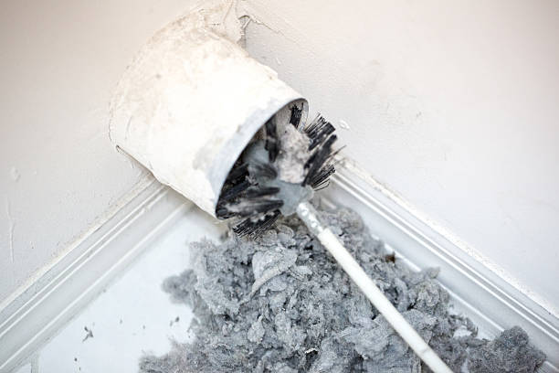 Air Duct Mold Removal in Welby, CO